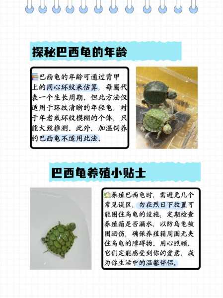 巴西甲排名，巴西甲推荐