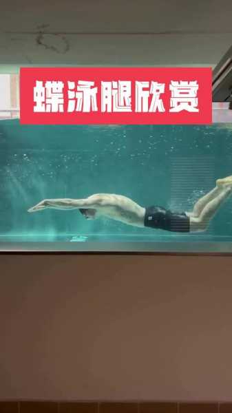 罗切特蝶泳，罗切特蝶泳踢腿方法