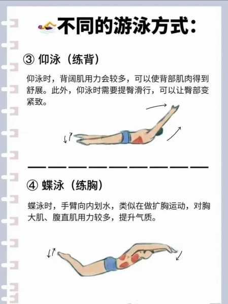 自由泳慢动作分解，自由泳的慢动作