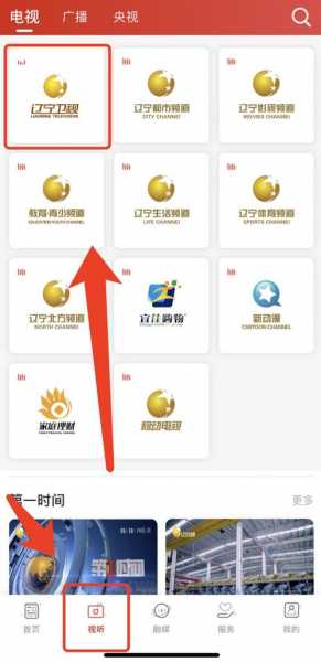 辽宁卫视直播节目回放，辽宁卫视直播间