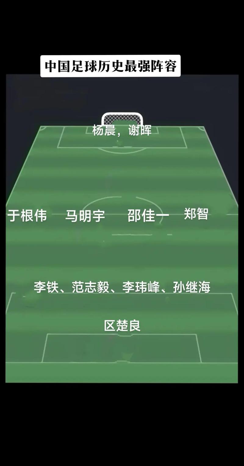 2002年世界杯中国国家队名单，2002年足球世界杯中国阵容