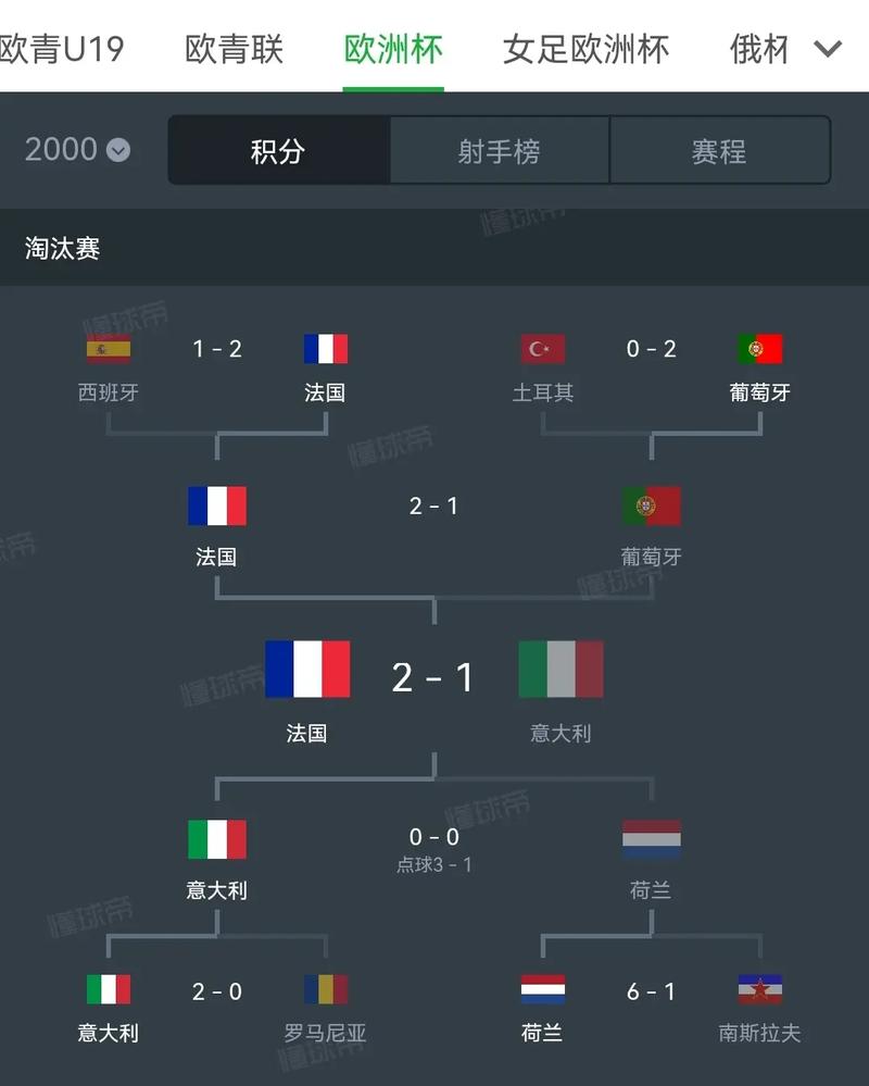 2008年欧洲杯比分，2008欧洲杯比分全图分析