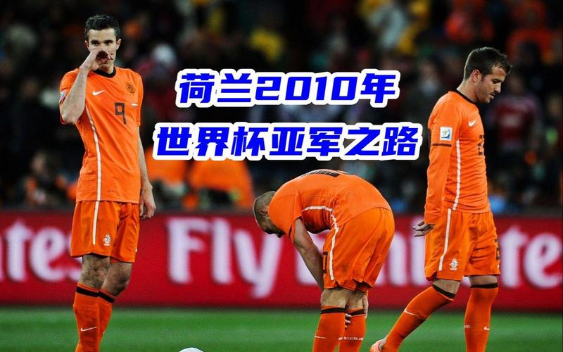 2010世界杯荷兰战绩，2010世界杯荷兰第几名