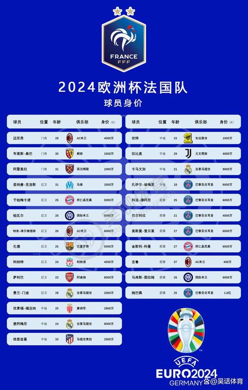 2014世界杯法国队名单，2014年法国世界杯