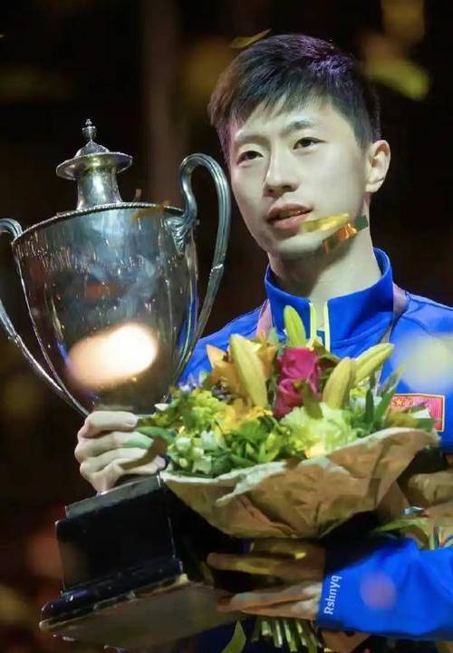 2018瑞典世乒赛，2018瑞典世乒赛 马龙加多斯