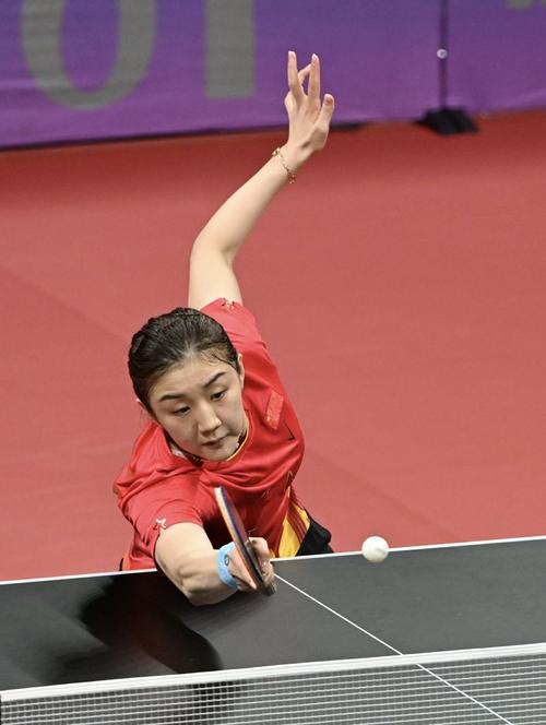 2019全国乒乓球锦标赛，2019全国乒乓球锦标赛冠军