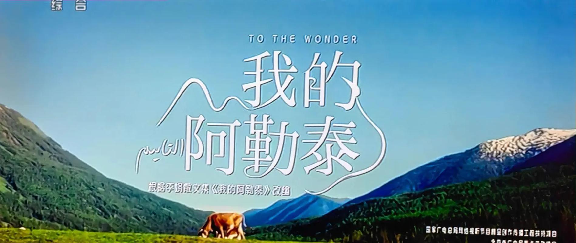 cctv1回看的直播回放，cctv1回看直播回放我的阿勒泰