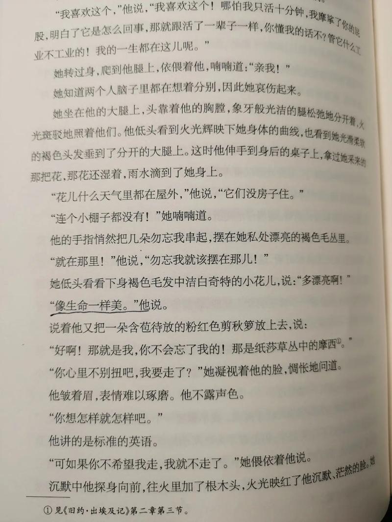 dh劳伦斯，dh劳伦斯为什么有争议