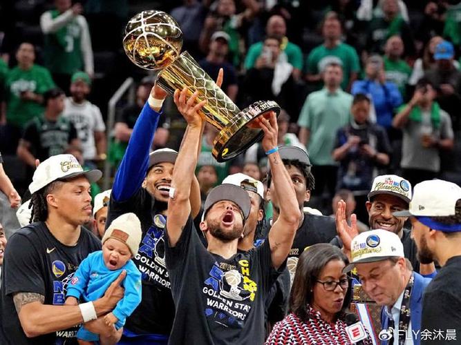 nba2008年总冠军，nba2008年总冠军fmvp
