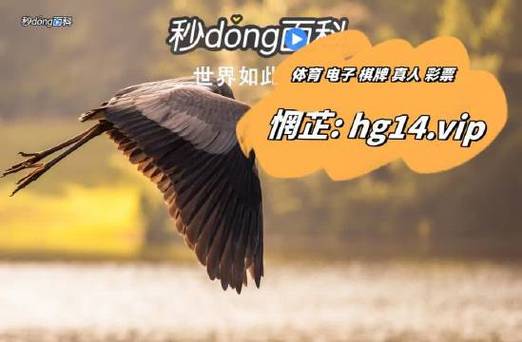win007球探篮球比分，篮球007球探网