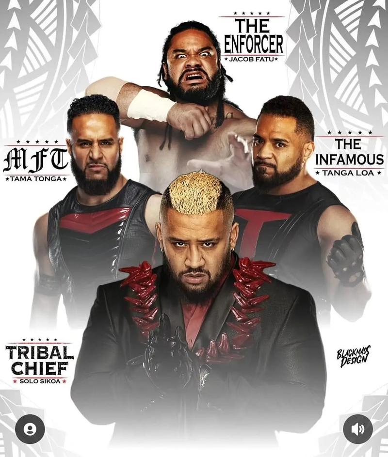 wwe环球摔迷网，wwe环球冠军百度百科