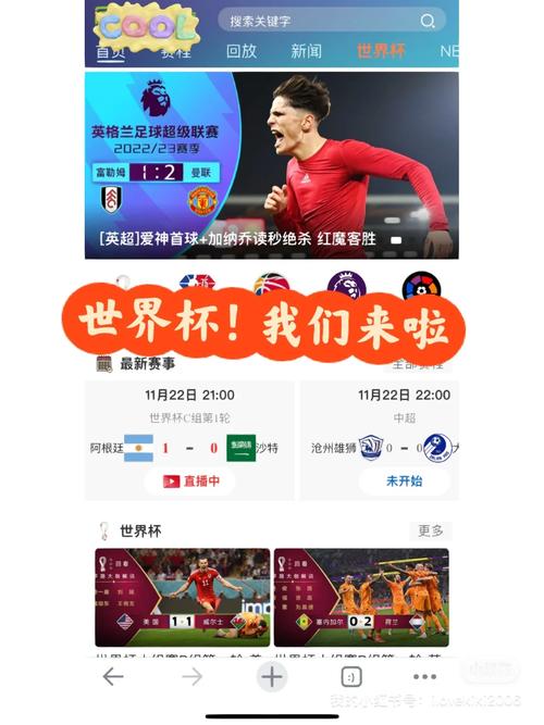 世界杯视频直播地址，世界杯视频直播地址是什么