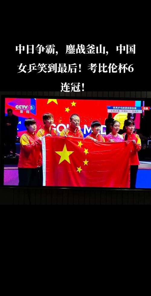 中央5套在线直播cctv，乒乓球直播中央5套在线直播