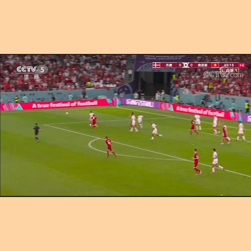 丹麦vs突尼斯，丹麦队vs俄罗斯预测