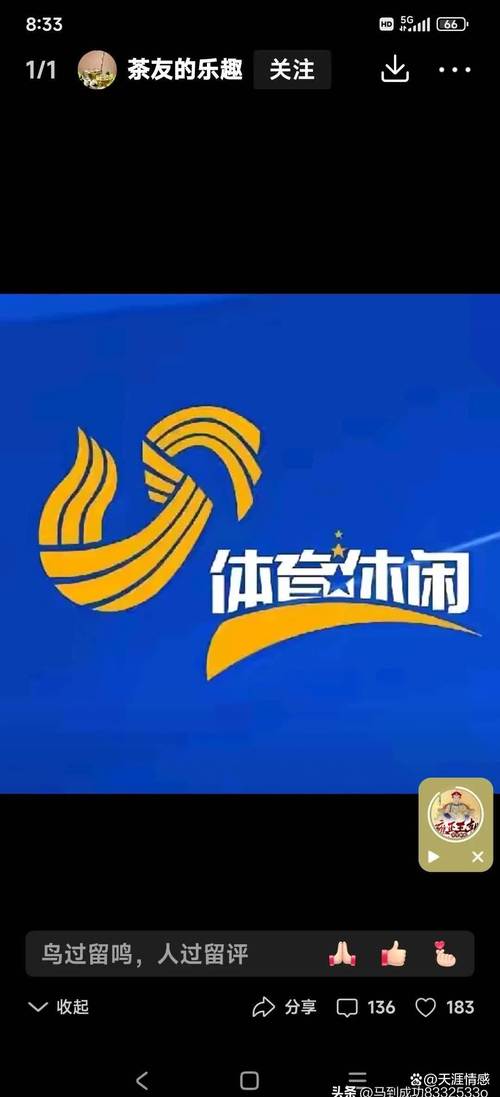 体育视频直播在线观看篮球，体育直播篮球比赛