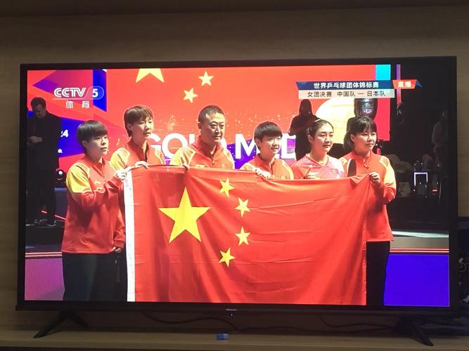 体育频道 直播，体育频道直播cctv5在线直播观看乒乓球