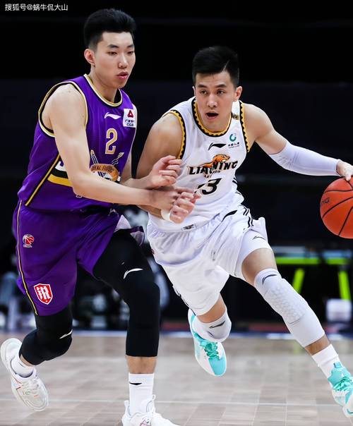 刘权标，刘权标为什么不打CBA了