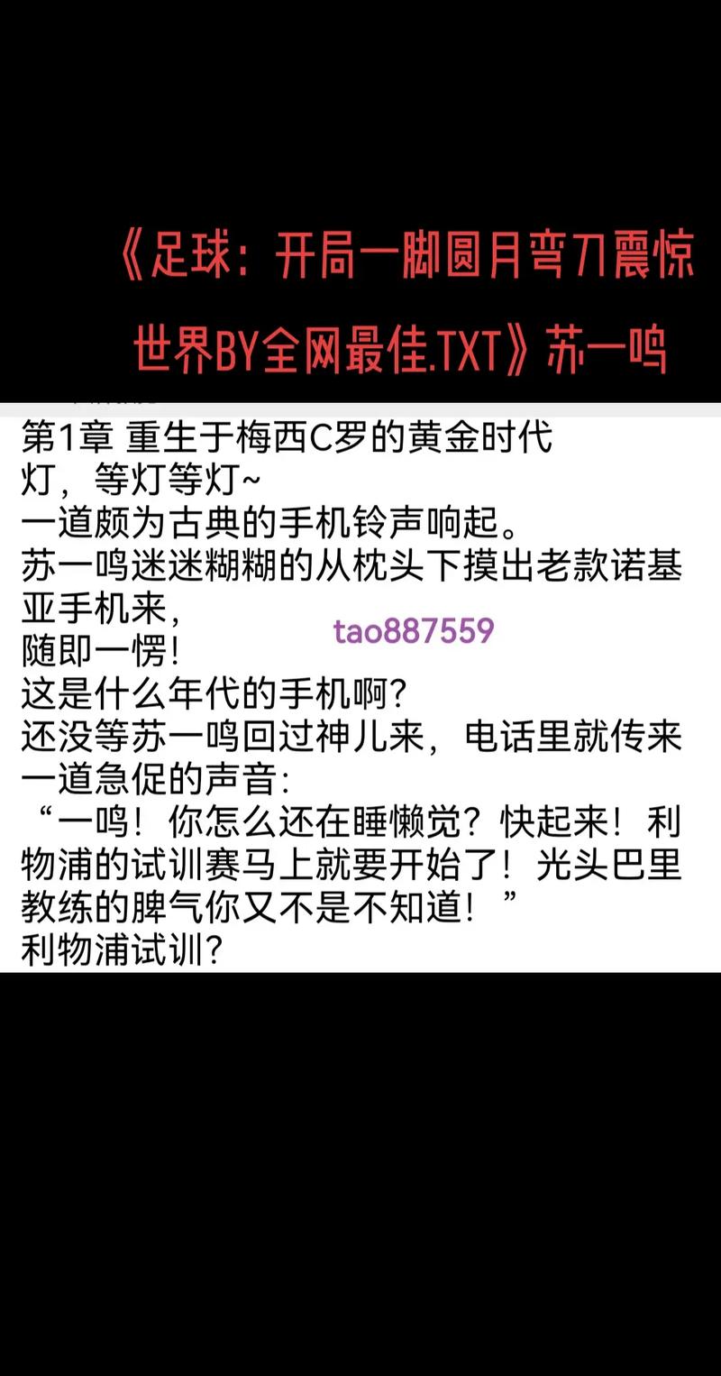 十大足球小说必看排名，足球小说 推荐