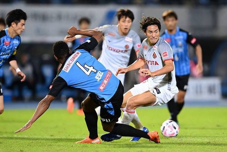 名古屋鲸八vs冈山绿雉直播，名古屋鲸八vs冈山绿雉比赛中断最新消息