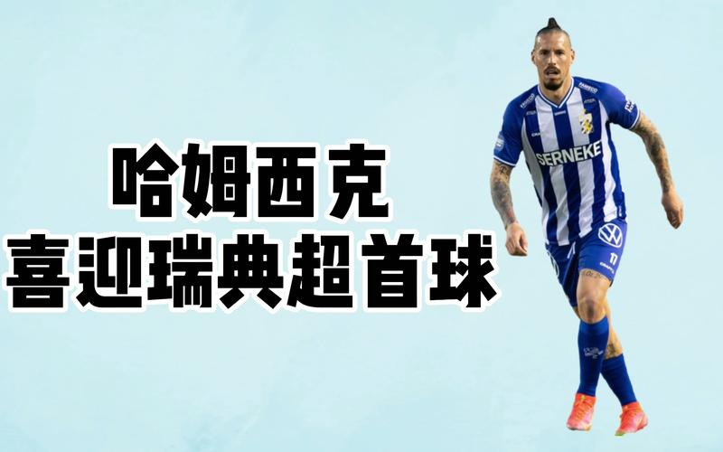 哈姆西克，哈姆西克发型