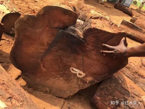 喀麦隆巴西，喀麦隆巴西花梨值钱吗知乎