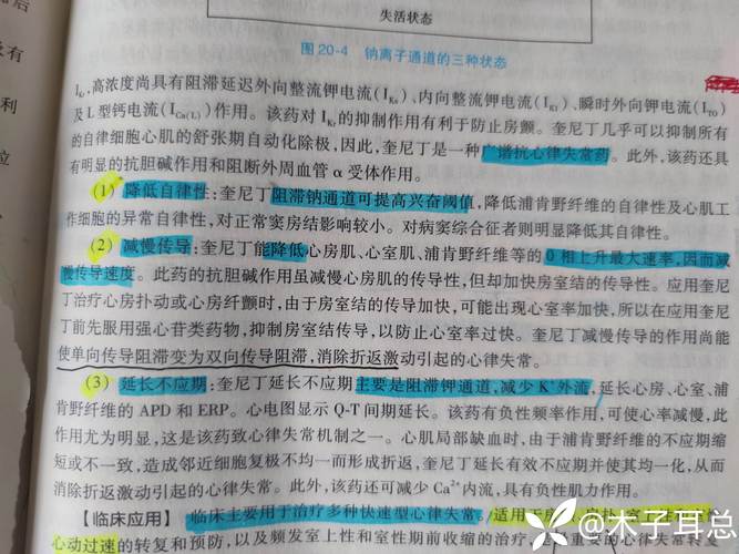 奎尼，奎尼丁吃多少会立即死亡