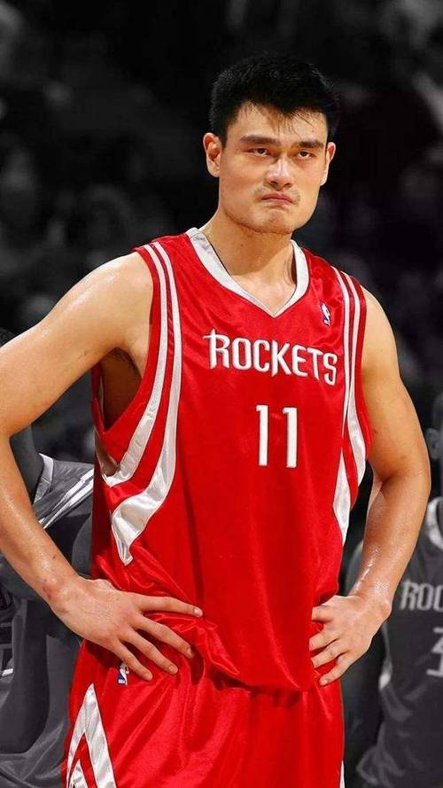 姚明生涯10佳球，姚明生涯50佳球