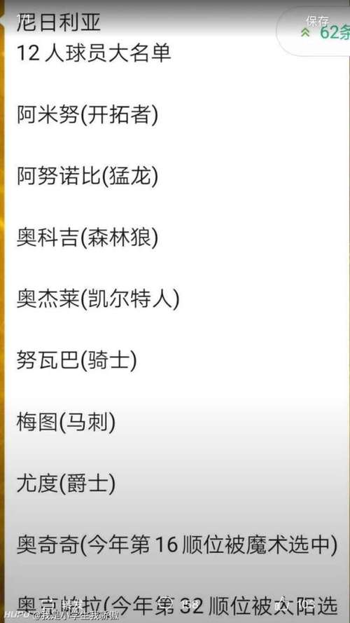尼日利亚国家队大名单，尼日利亚队有谁