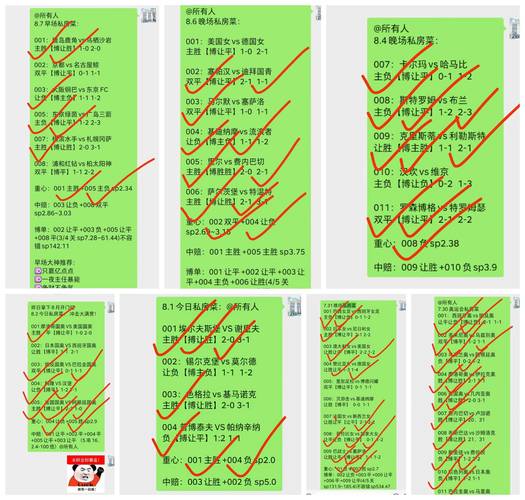 巴甲联赛比分赛程，巴甲赛程比分预测