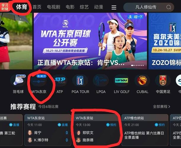 手机怎么看体育直播赛事，如何在手机上看体育比赛直播