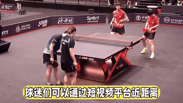 新加坡乒乓球世界杯直播，新加坡乒乓球现场直播