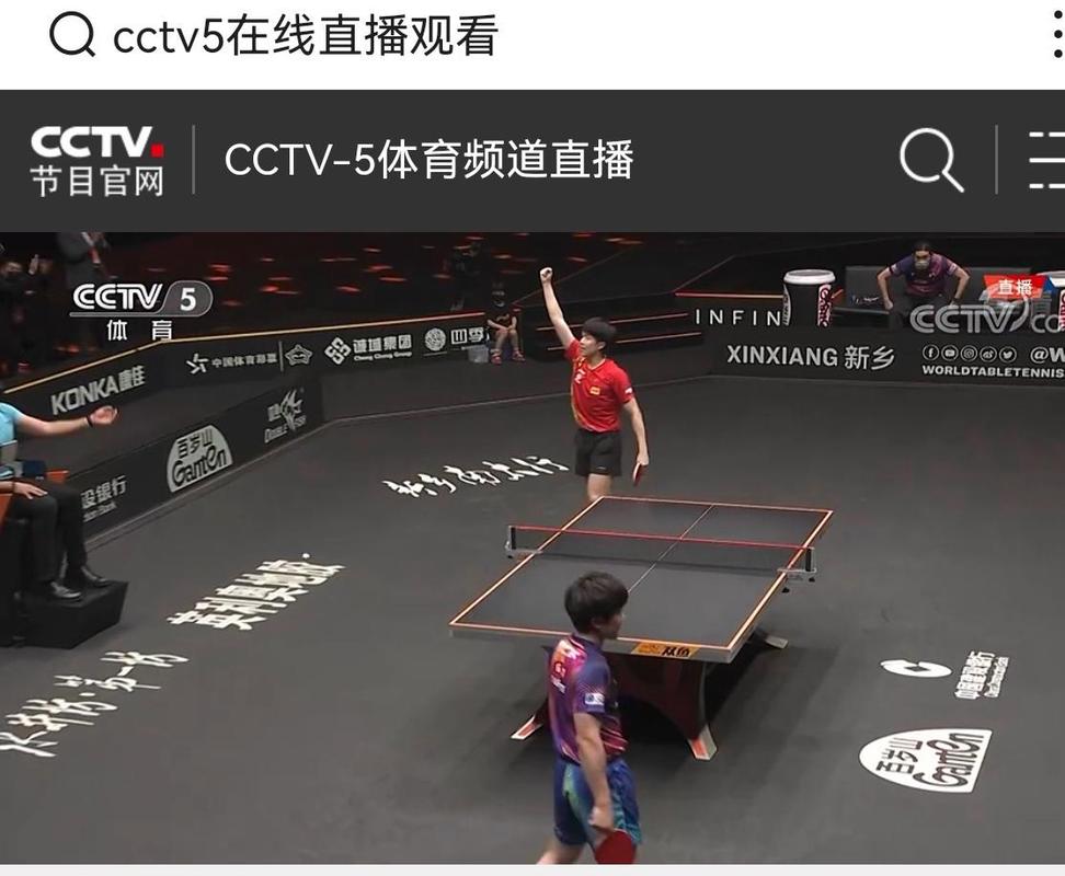 新浪体育直播在线观看,新浪体育直播在线观看免费