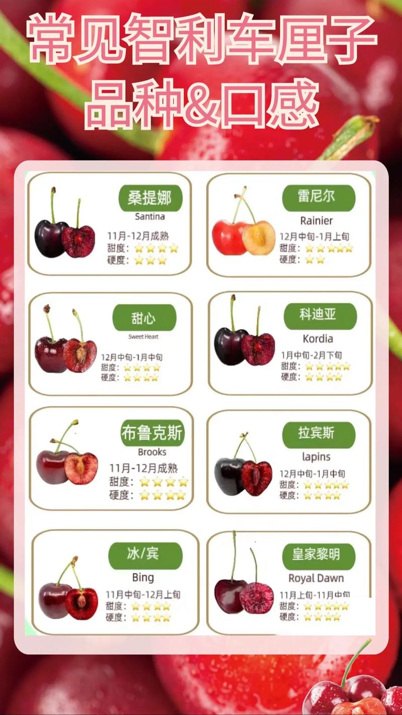 智利是属于哪个国家，智利车厘子