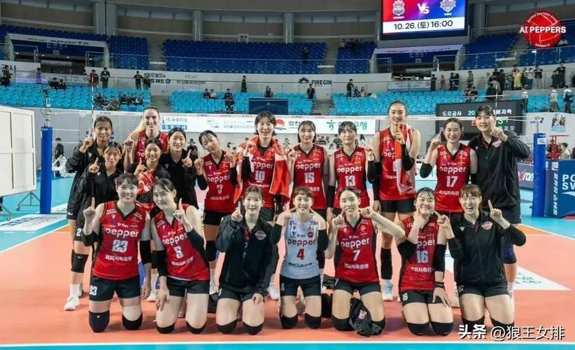朝鲜女排，朝鲜女排对韩国女排
