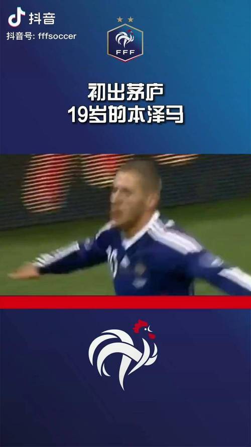 本泽马法国队事件，本泽马法国队进球数