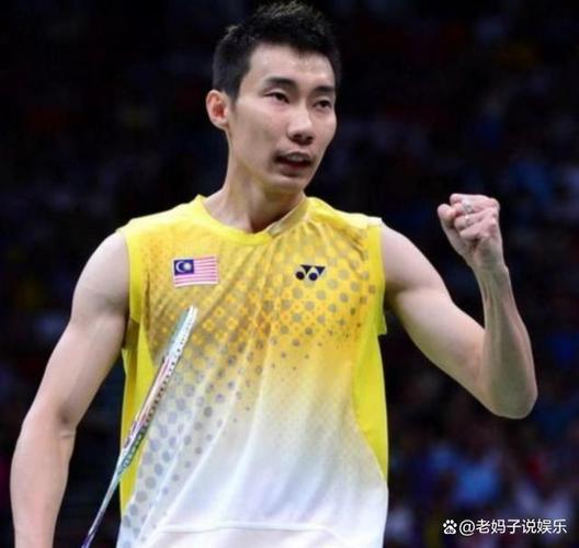 李宗伟会说中文，李宗伟评价