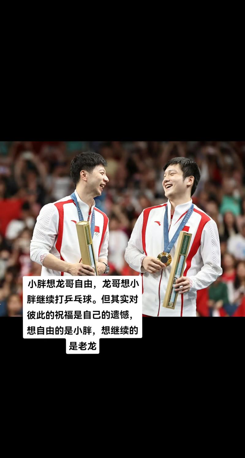 樊振东和马龙交手战绩，樊振东和马龙的21次交手