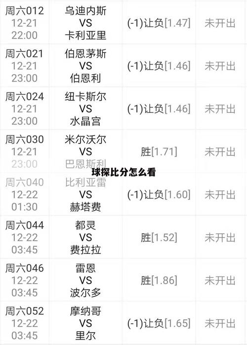 欧洲杯即时比分，欧洲杯即时比分足球球探网