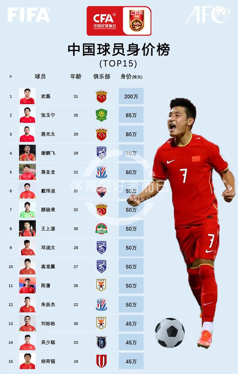武磊球员身价排名，武磊球员身价排名第几