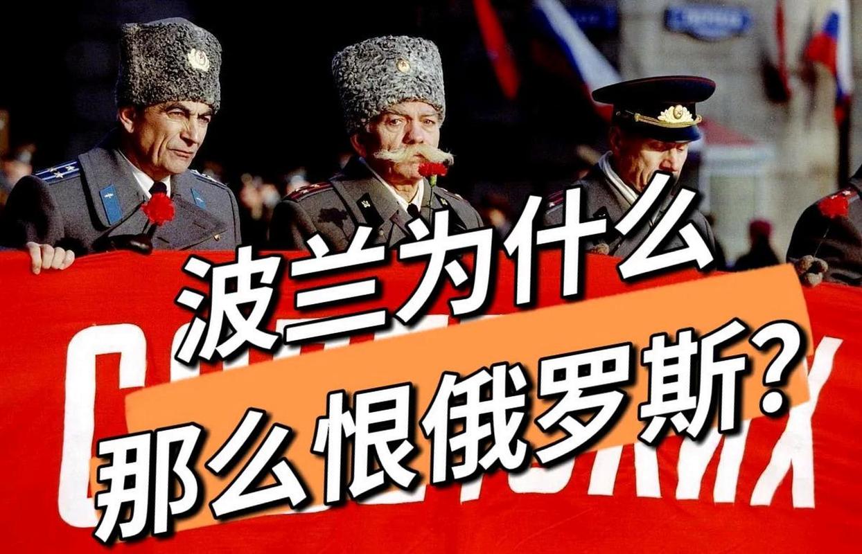 波兰VS沙特，波兰对俄罗斯ds