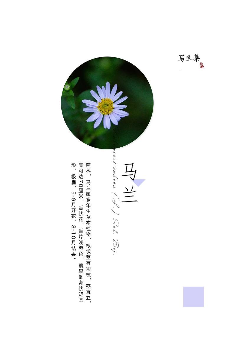 玛伦，玛伦名字的意思和含义