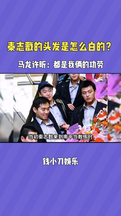 秦志戬把许昕毁了，秦志戬早年比赛视频