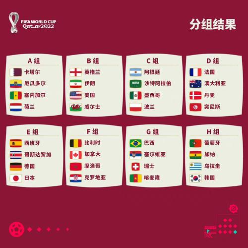 美国和伊朗世界杯，美国和伊朗世界杯分组