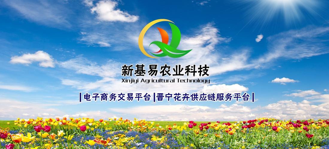 艾威斯，艾威斯网络传媒供应链有限公司