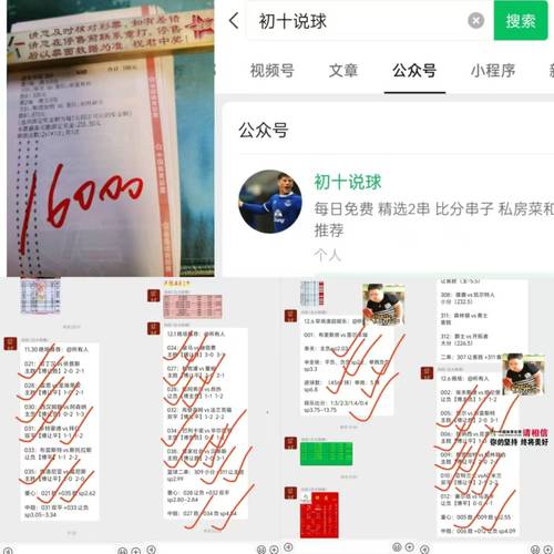 荷乙直播平台，荷乙直播平台荷乙