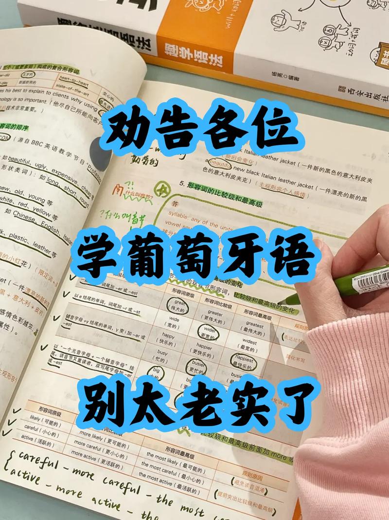 葡萄牙语翻译中文，葡萄牙语翻译中文转换器