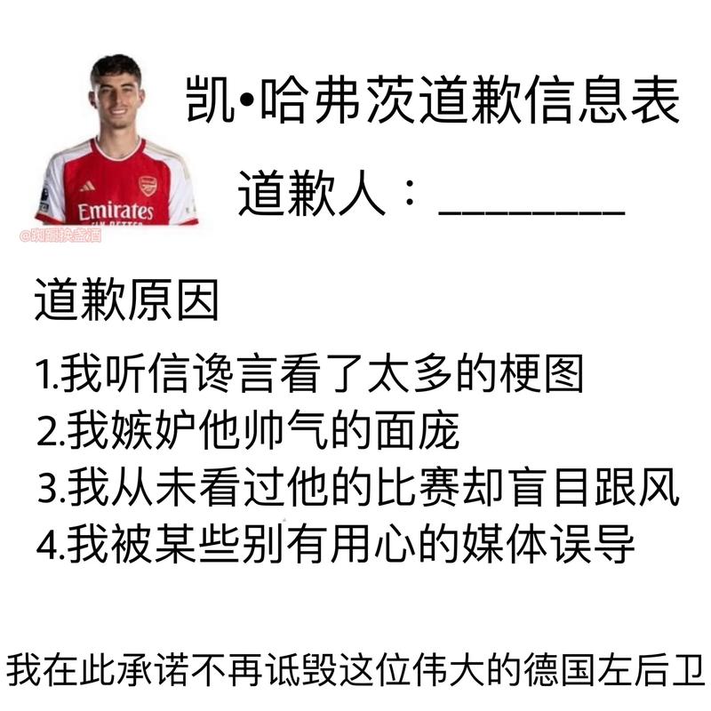 阿森纳球迷什么梗，阿森纳的梗