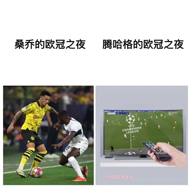 阿森纳球迷什么梗，阿森纳的梗