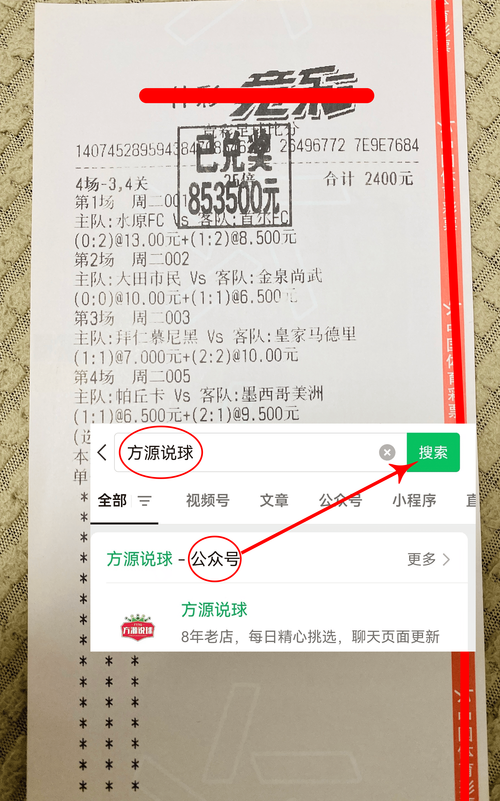 霍芬海姆，霍芬海姆赛程比分